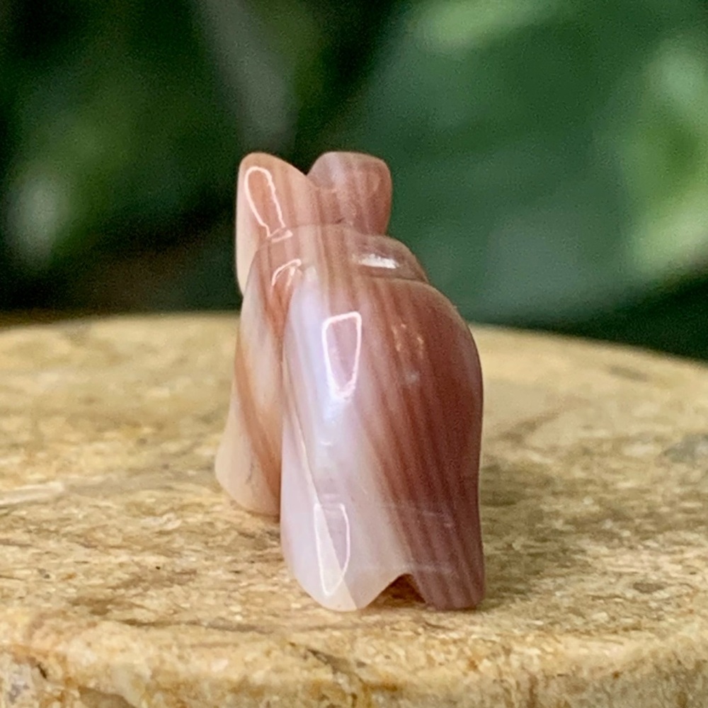Wampum Fetish Bear Bead Quahog Shell Carving Purple White Clam Top Drilled .7" - Picture 6 of 16